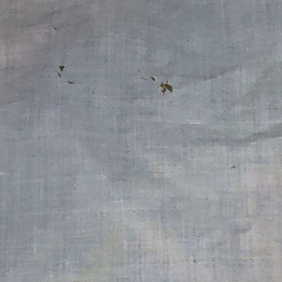 Vintage White Rose Handkerchief - Picture 5 of 7